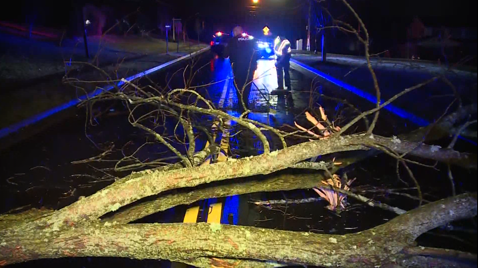 Wednesday morning storms causes tree to fall on car in Evandale, driver okay - Vimarsana News