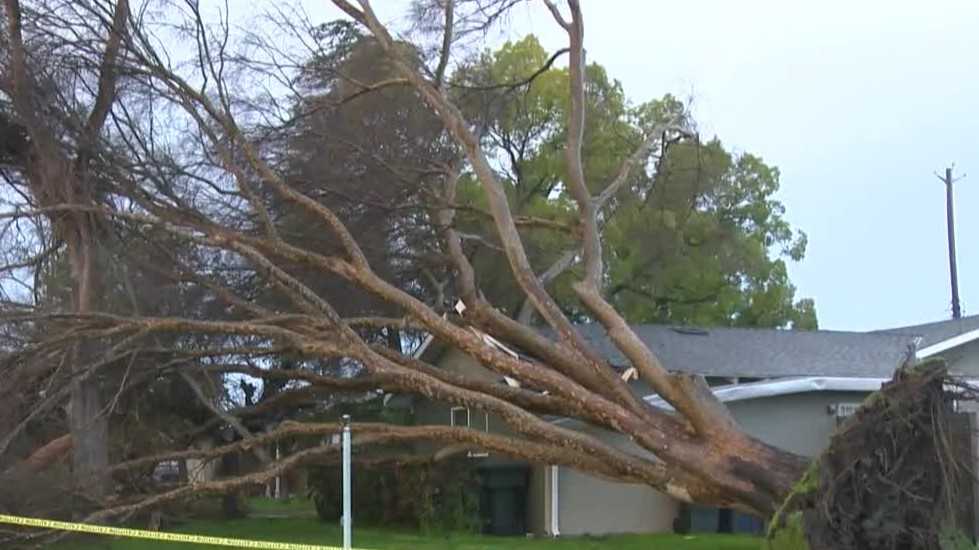 Severe High Wind Warning Issued Across Northern California