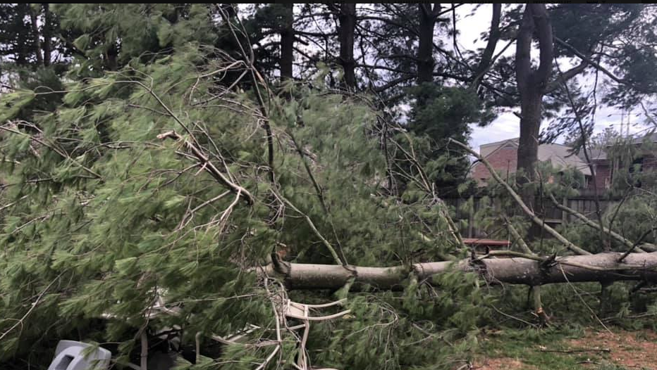 PHOTOS: WLKY viewers share photos of storm damage