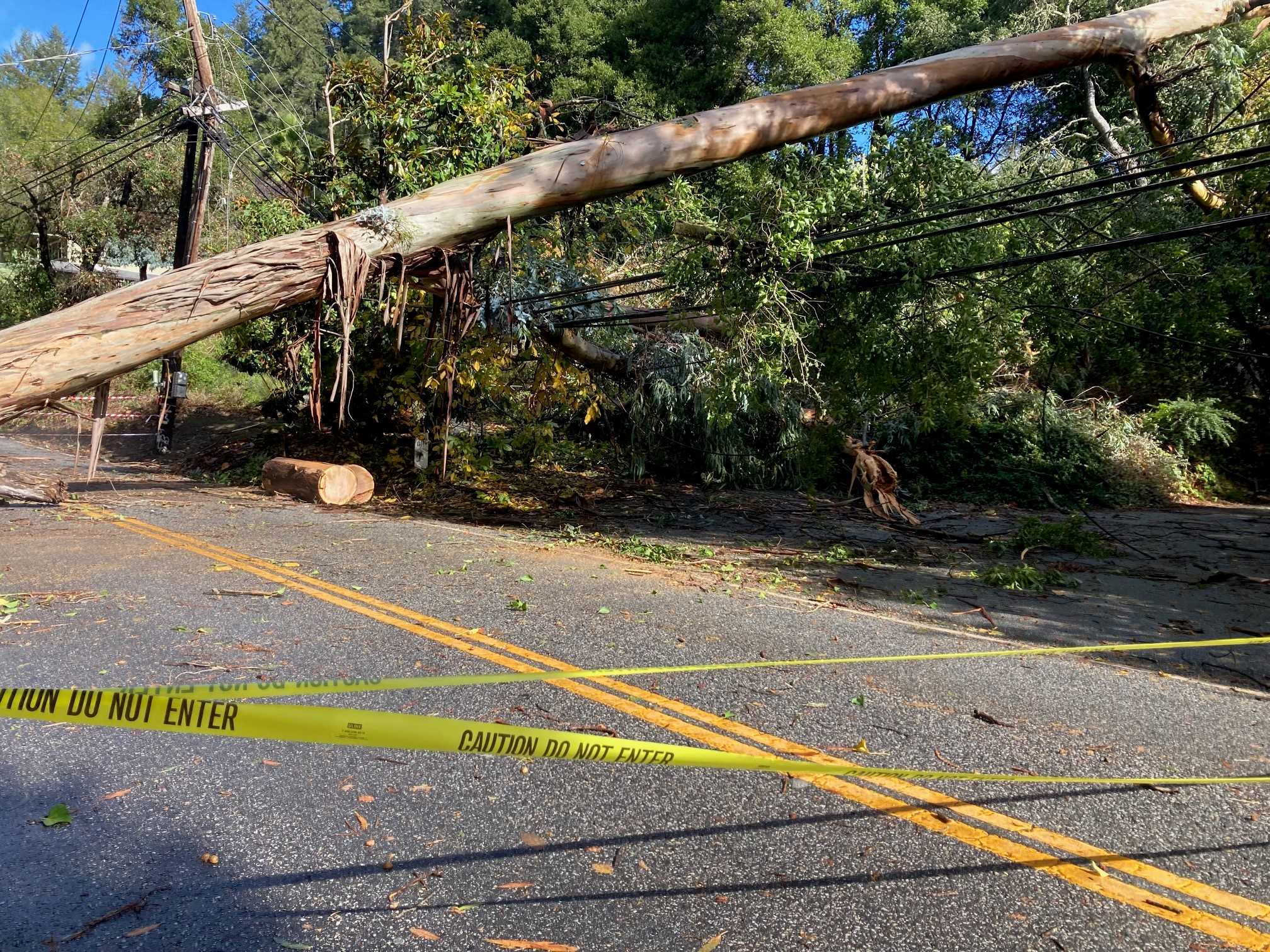 California storm uproots trees damages homes in Santa Cruz Mtn