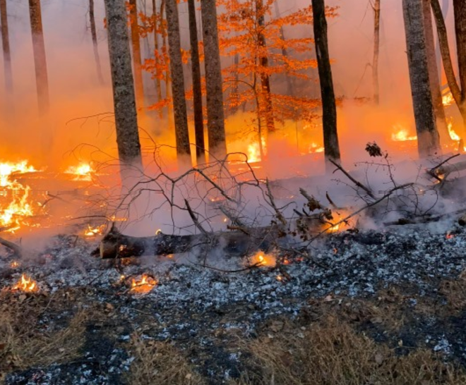 N.C. firefighters work to contain wildfire on Pilot Mountain