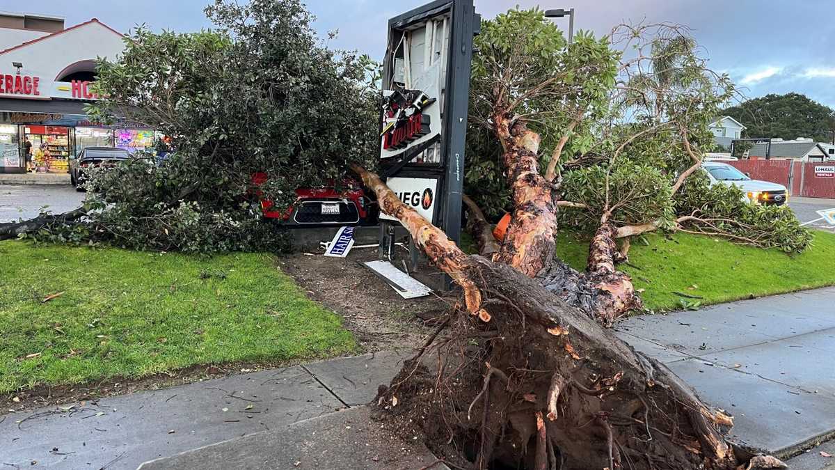 TORNADO CONFIRMED: National Weather Service responds to damage in San ...