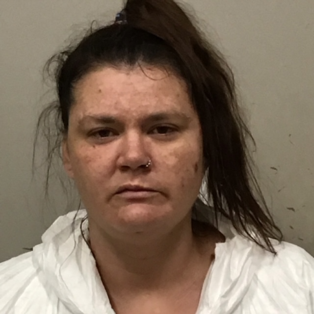 Traphill woman charged with attempted murder, child abuse