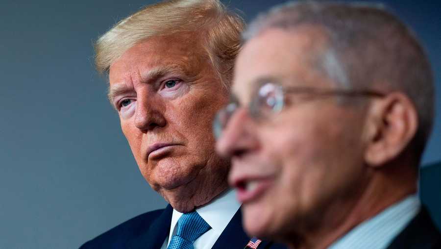 Dr. Anthony Fauci, one of the most prominent members of the White House coronavirus task force, said on Monday that he has not spoken to or met with President Donald Trump in two weeks.