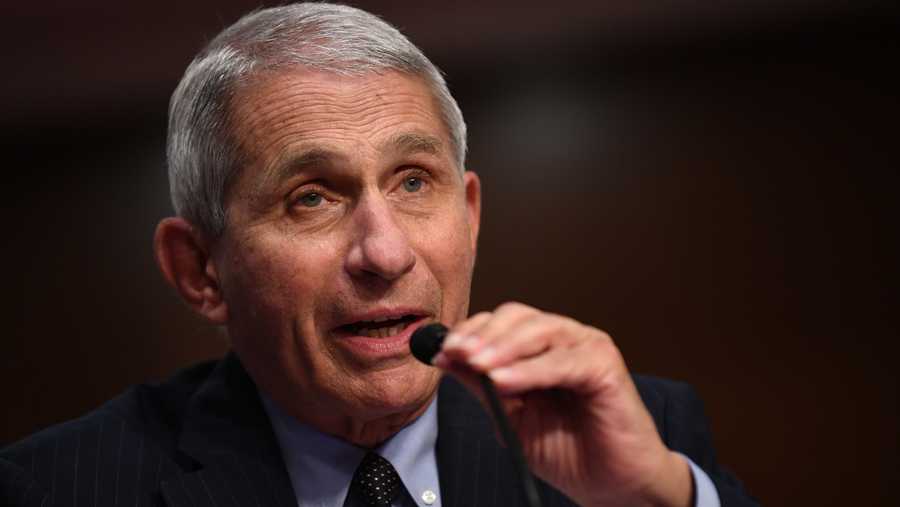 Dr. Fauci has said if the U.S. can "dilligently" vaccinate, we may see a return to normal life around early fall.