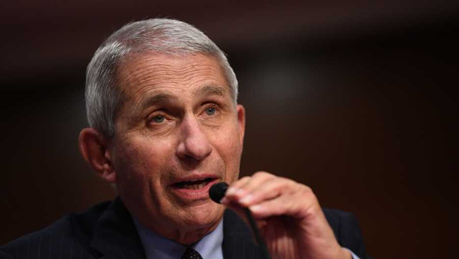 Dr. Fauci has said if the U.S. can "dilligently" vaccinate, we may see a return to normal life around early fall.