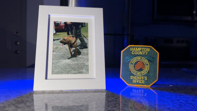 K-9 deputy left outside in the cold dies, buried in a different county - Vimarsana News