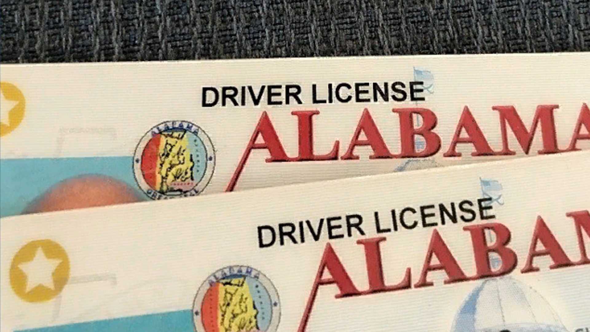 alabama drivers license maker free