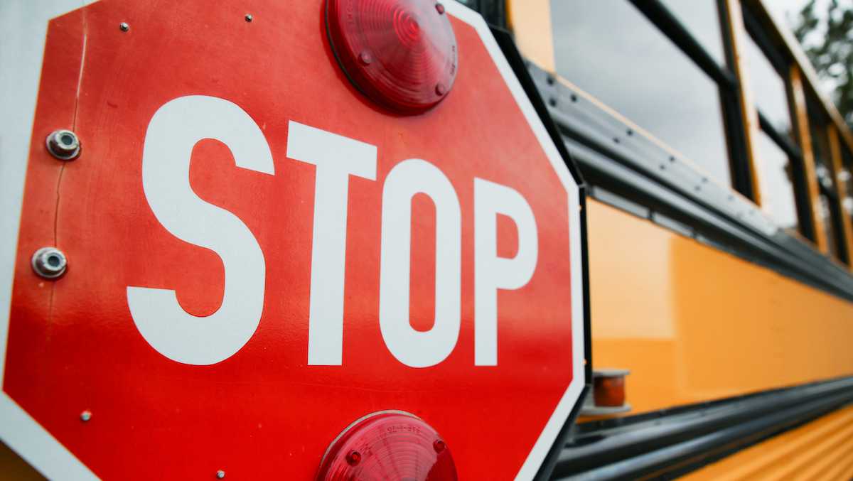 driving rules around school buses