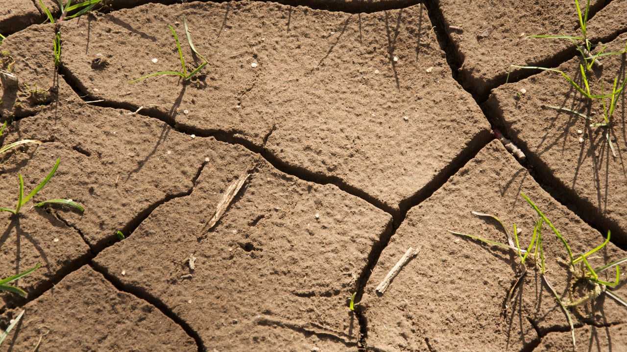 Drought Conditions Plaguing Much Of North Carolina