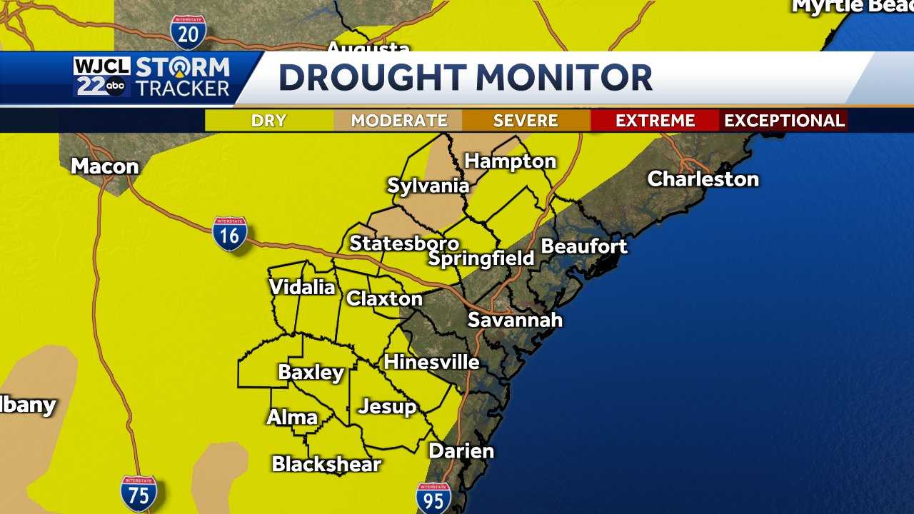 Savannah: Tracking the tropics and rain chances - WJCL