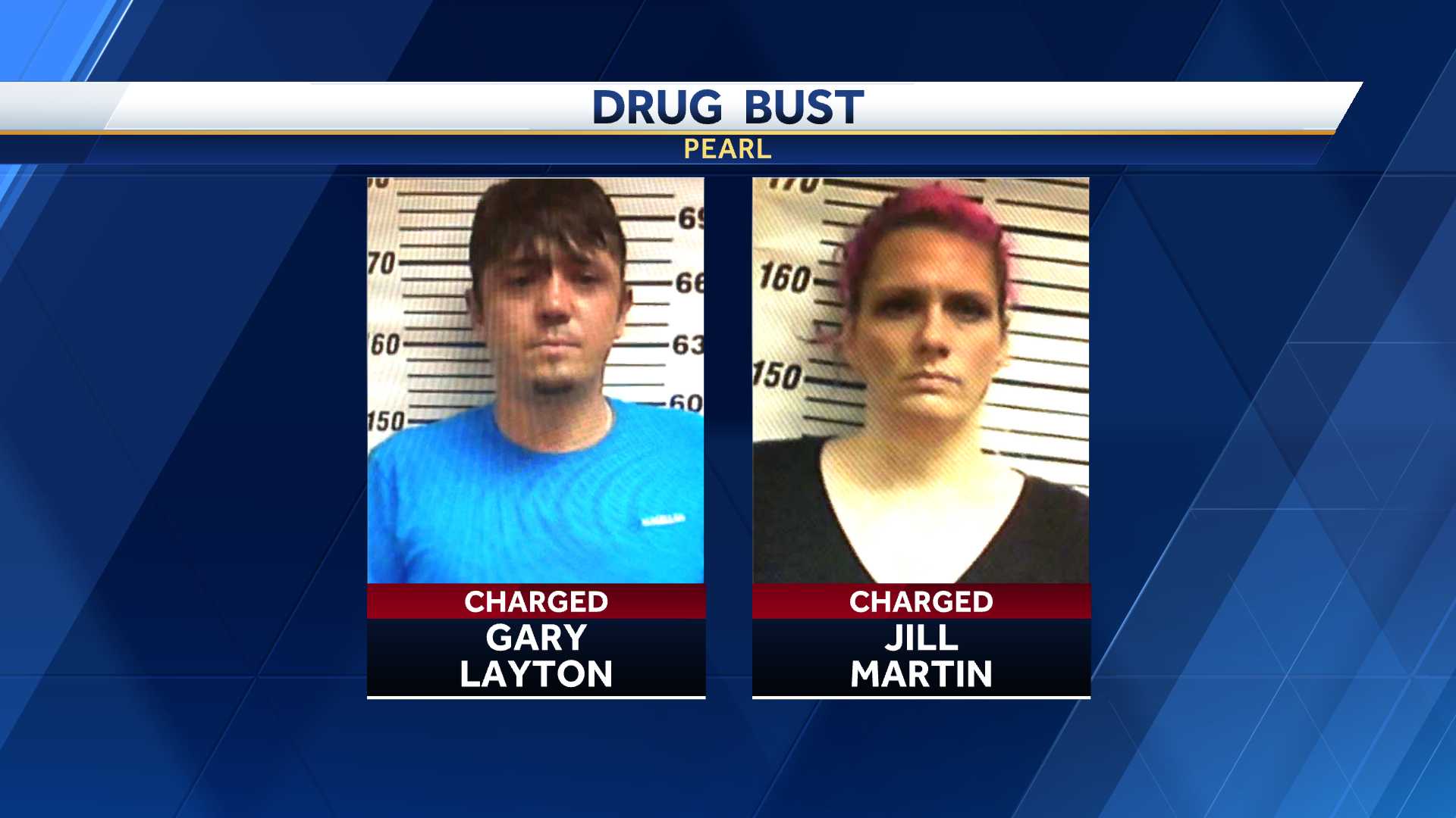 drug bust in lower paxton township