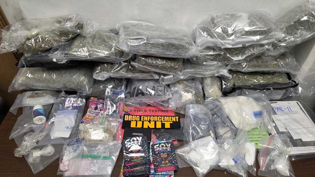 Major drug seizure in Greenville County leads to arrest - WYFF