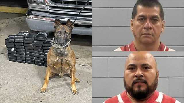Rankin County K-9 helps deputies recover almost 100 pounds of cocaine - Vimarsana News
