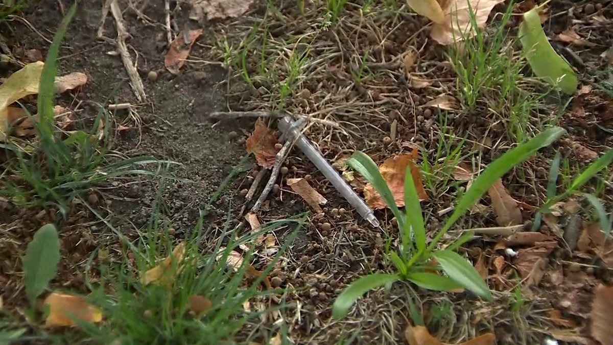 Needles found litter Roxbury park near troubled 'Mass. and Cass'