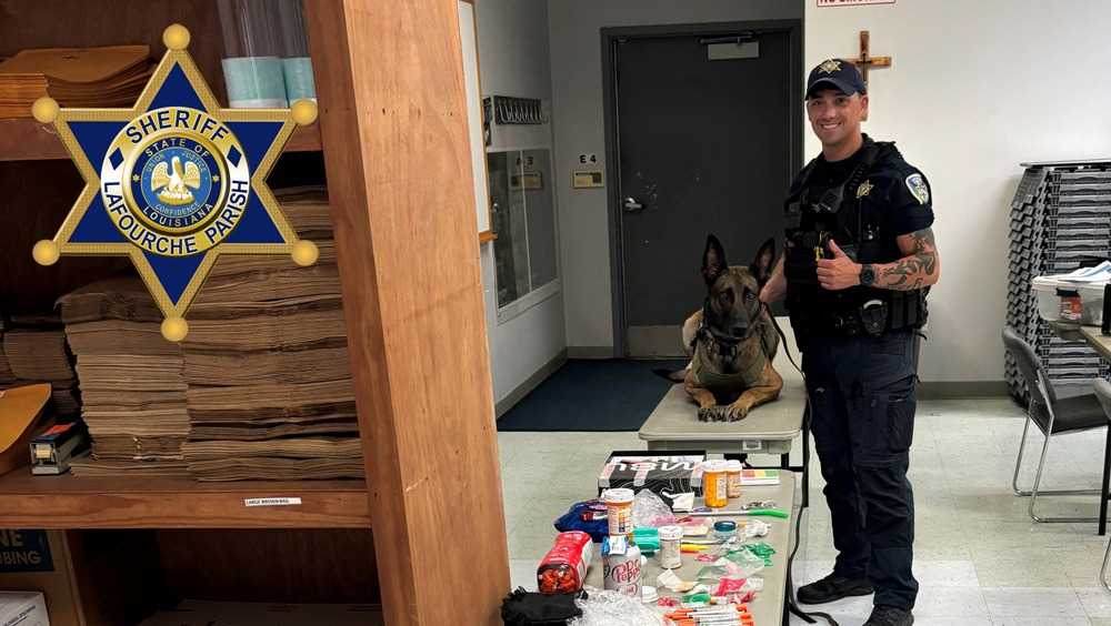 Louisiana deputy, K9 find pills, meth, heroin during traffic stop