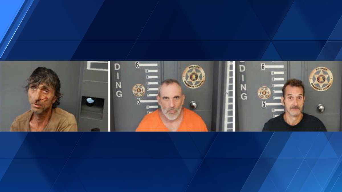 3 men arrested after brief vehicle pursuit, officials say