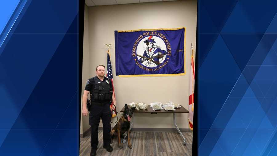 Homewood police make arrest in drug case