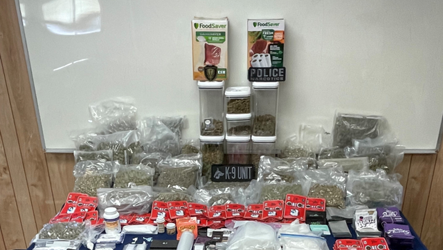 Former NFL player facing drug charges in Lafourche Parish - Vimarsana News