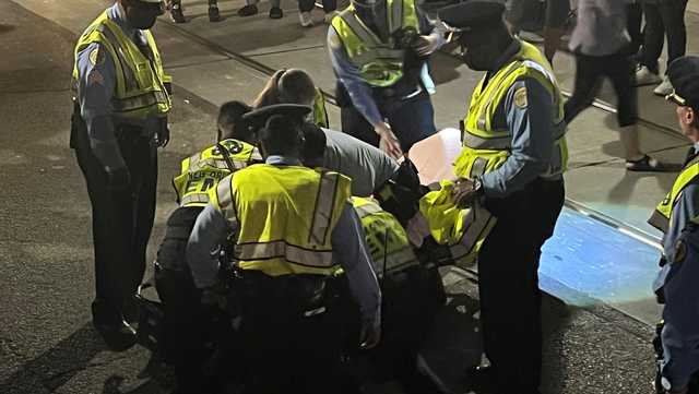 Druids rider taken to hospital after falling from horse carriage - Vimarsana News