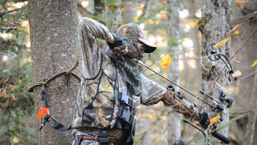 Vermont's archery deer hunting season to begin in October