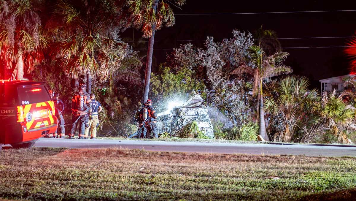 1 dead after car strikes tree, catches fire in Iona