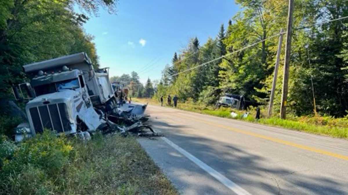 Errol, New Hampshire crash: Dump trucks collide, moose killed