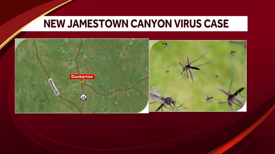 Jamestown Canyon virus in Dunbarton
