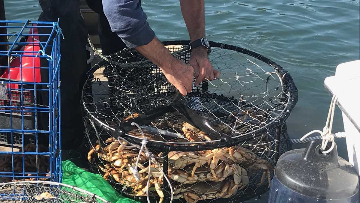 California's crab season delayed until after Thanksgiving