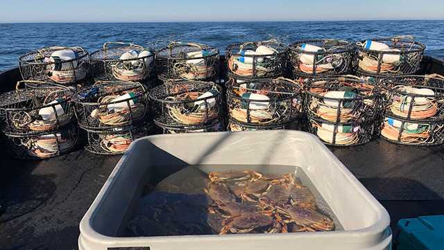 Ropeless fishing gear for California Dungeness Crab will expand this spring, News