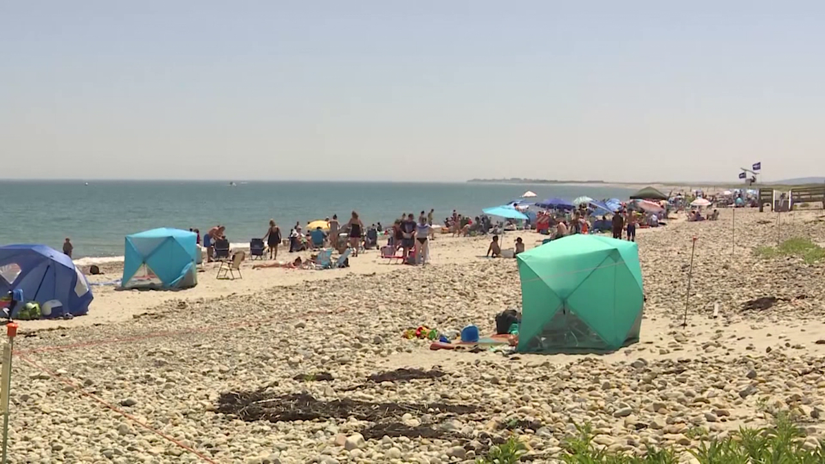 Duxbury Beach back open after multiple fin sightings led to closure