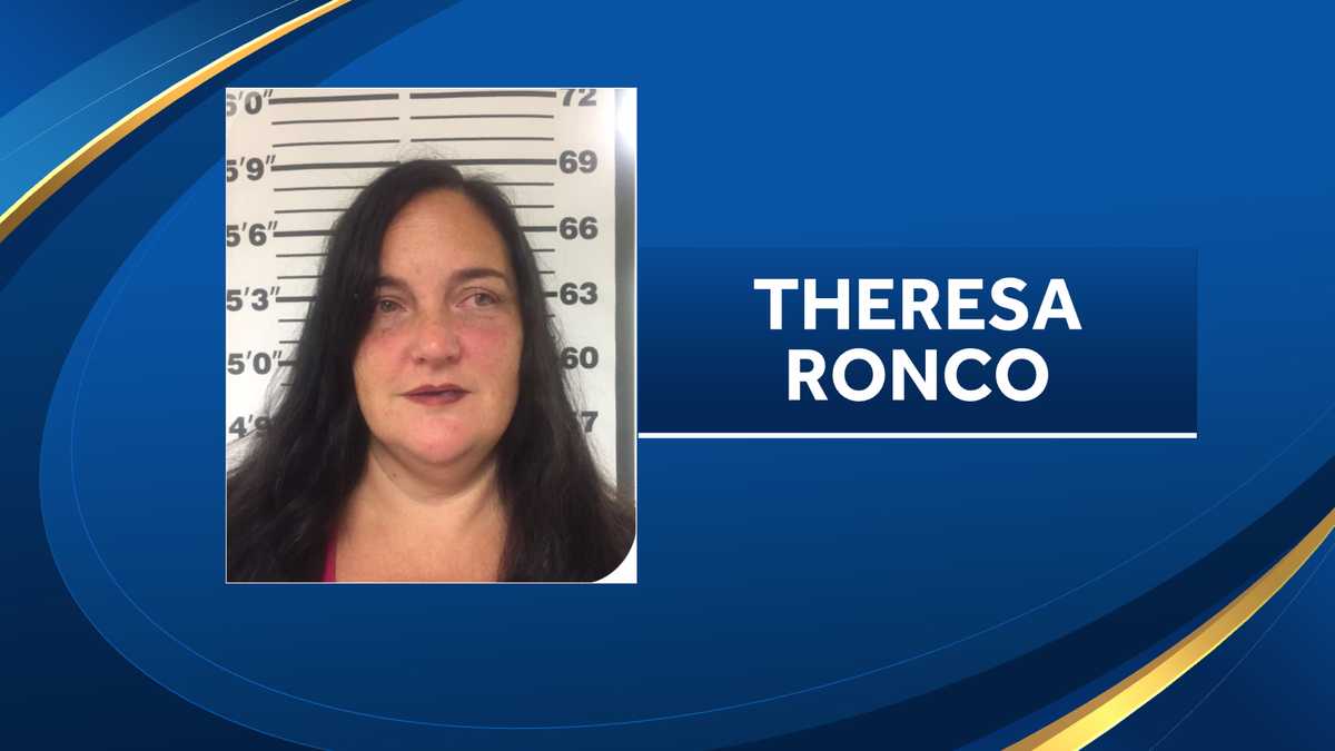 Police: Woman charged with DWI after driving wrong way on I-95