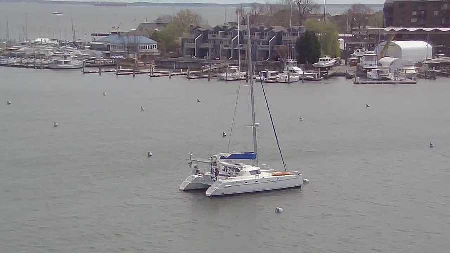 annapolis waterfront webcam