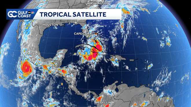 Tropical Tracker.