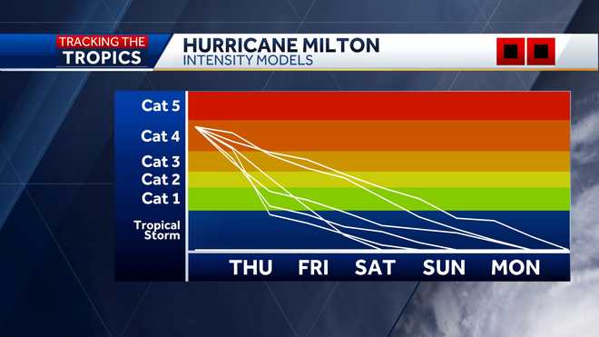 intensity models show how strong the storm is forecast to become