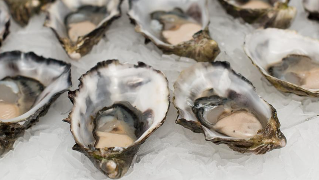 Oysters cause 2 Florida deaths - Vimarsana News