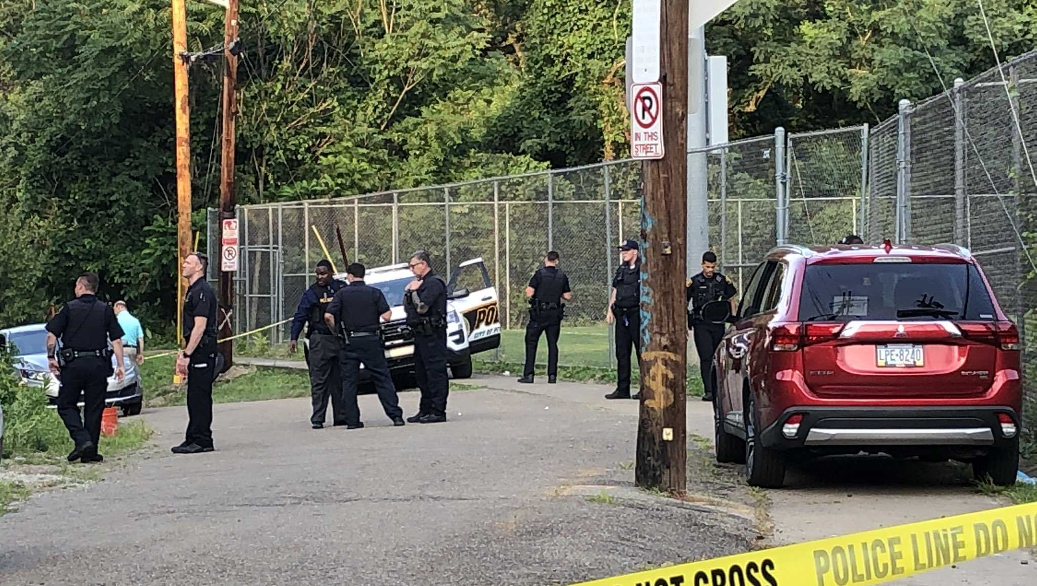 Heavy police presence on Quarry Street in Pittsburgh's South Side Slopes neighborhood - Vimarsana News