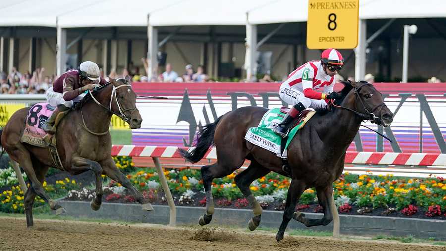 early voting crosses finish line first at preakness stakes