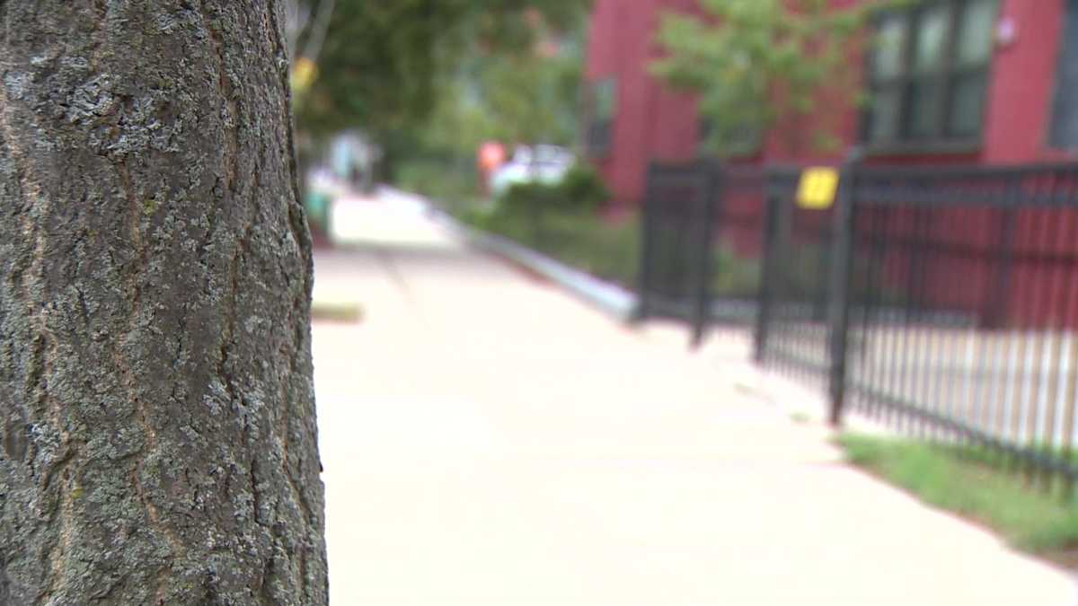 Boston police say 10yearold boy escaped potential kidnapping