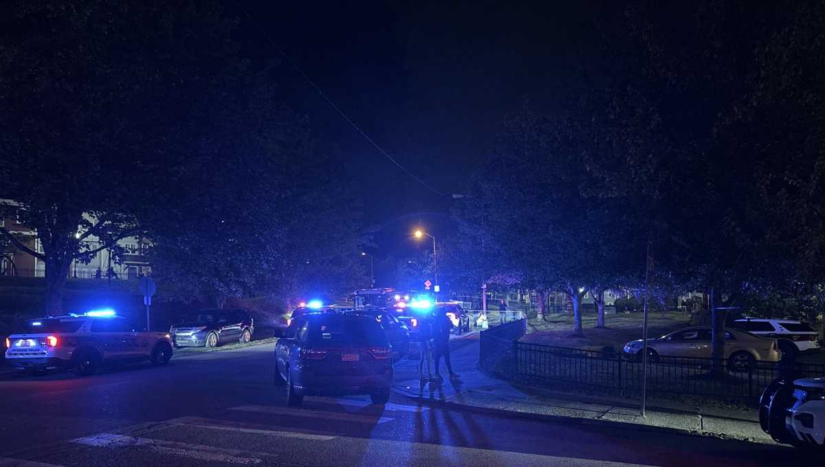 25-year-old fatally shot in Pittsburgh's East Hills identified