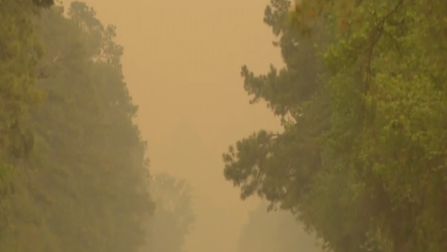 North Carolina wildfire updates: Fire believed to be man-made burns 32,000 acres near New Bern - Vimarsana News