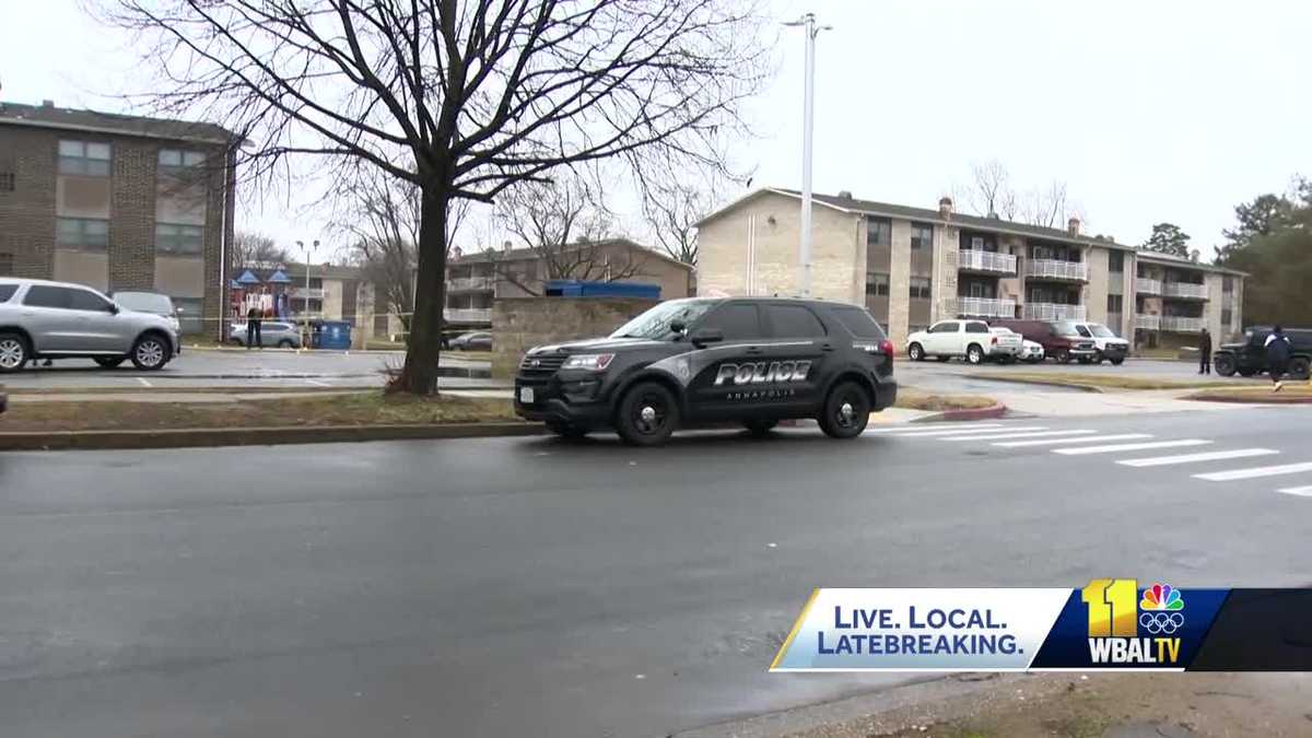 1 in custody, 2 sought after shots fired in Eastport