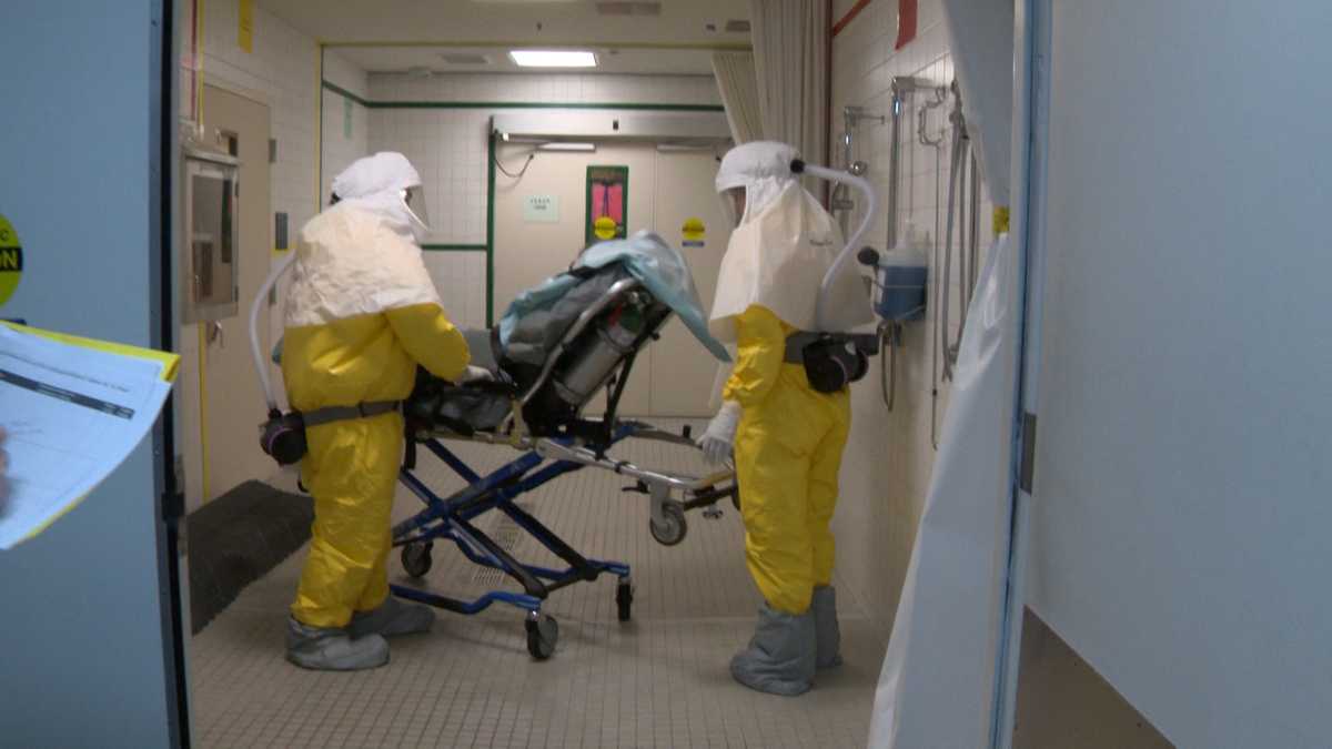 Update Kemenkes Soal Isu Virus Ebola