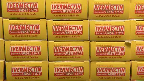 ivermectin