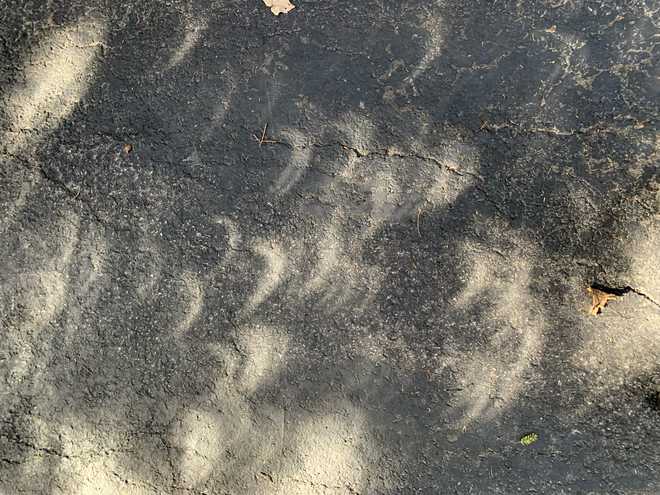 Shadow bands and why you should look down during a solar eclipse