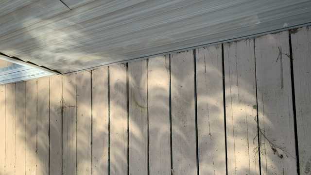 Shadow bands and why you should look down during a solar eclipse - Vimarsana News
