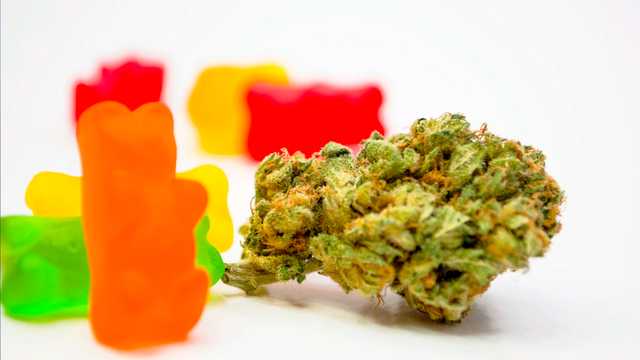 North Carolina: 3 students hospitalized after eating gummies on school bus, school officials say - Vimarsana News