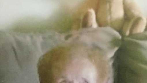 Revere Police 91 Year Old Woman Found