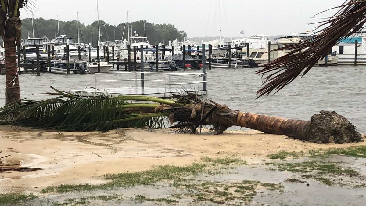 PHOTOS Tropical Storm Isaias causes damage across Maryland