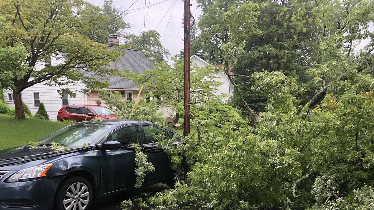 PHOTOS Tropical Storm Isaias causes damage across Maryland